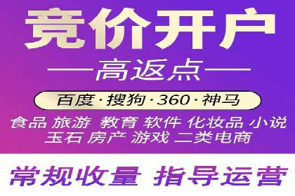 百度竞价广告投放全解析：成功案例揭秘